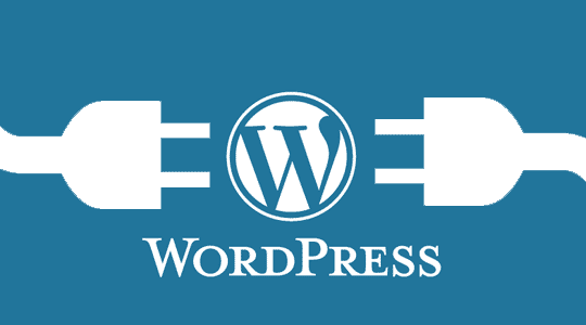 Postup vložení Leady kódu do WordPressu